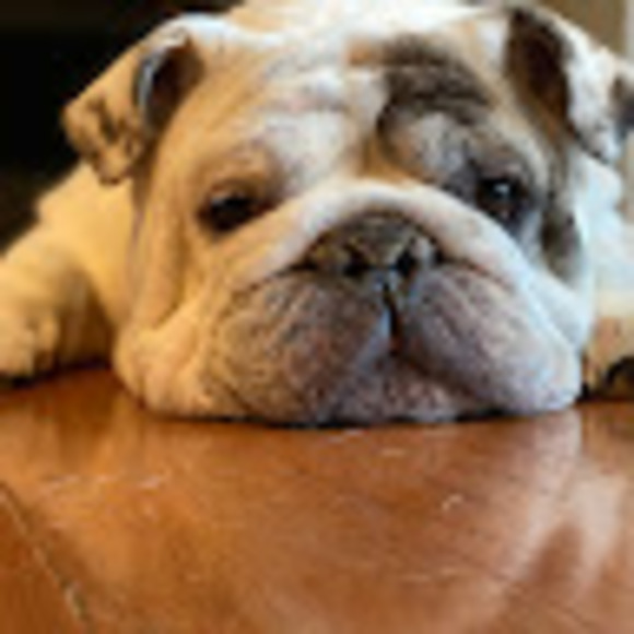 Meet your Posher, Robynne - Picture 2 of 2